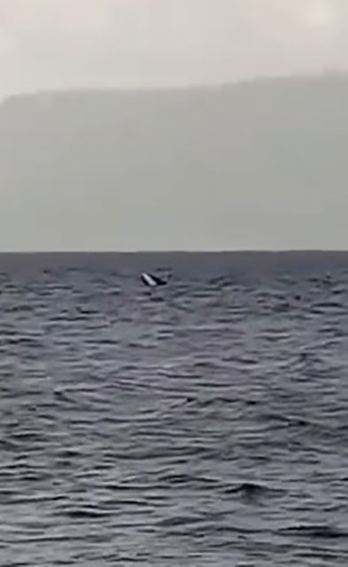 Kocaeli’de kayık alabora oldu: 1 kişi kurtarıldı, 1 kişi aranıyor
