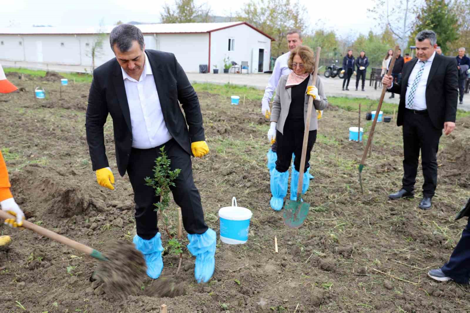 Dalaman A&ccedil;ık Ceza İnfaz Kurumunda 10 dekar alana Sakız ağacı fidanı dikildi
