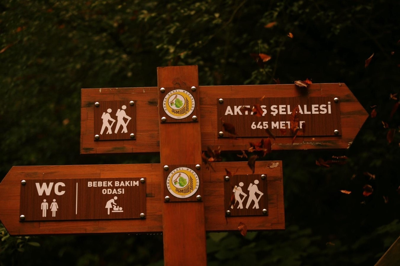 Aktaş şelalesinin doğal güzelliği paylaşıldı
