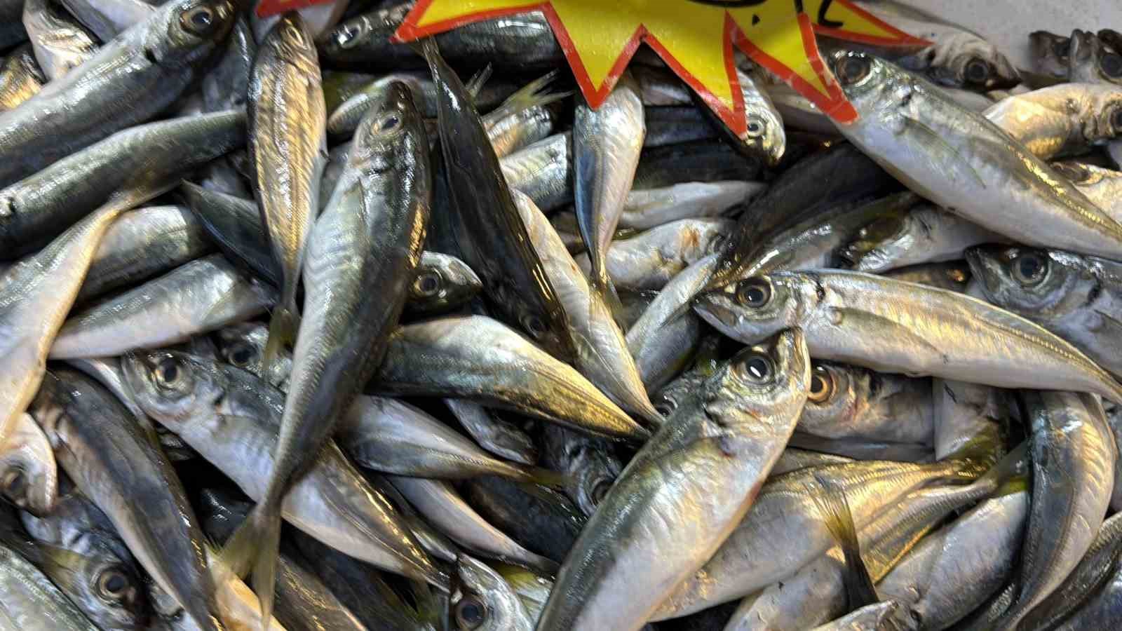 Palamut Gürcistan’a kaçınca tezgahlar hamsiyle doldu
