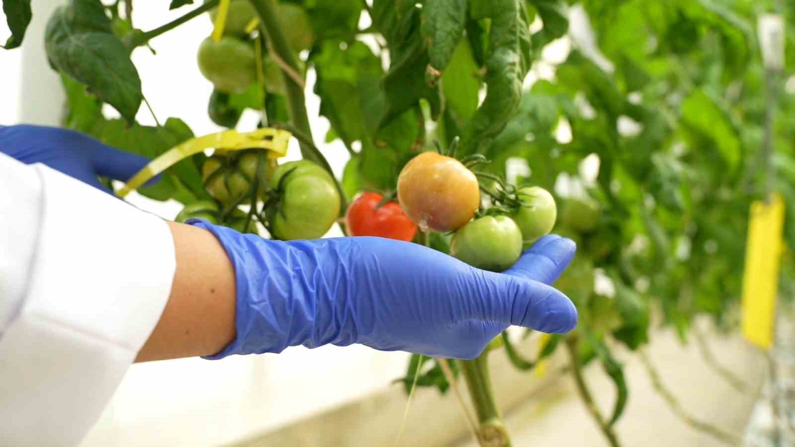 Gıda Güvenliğine ‘TENMAK’ dokunuşu