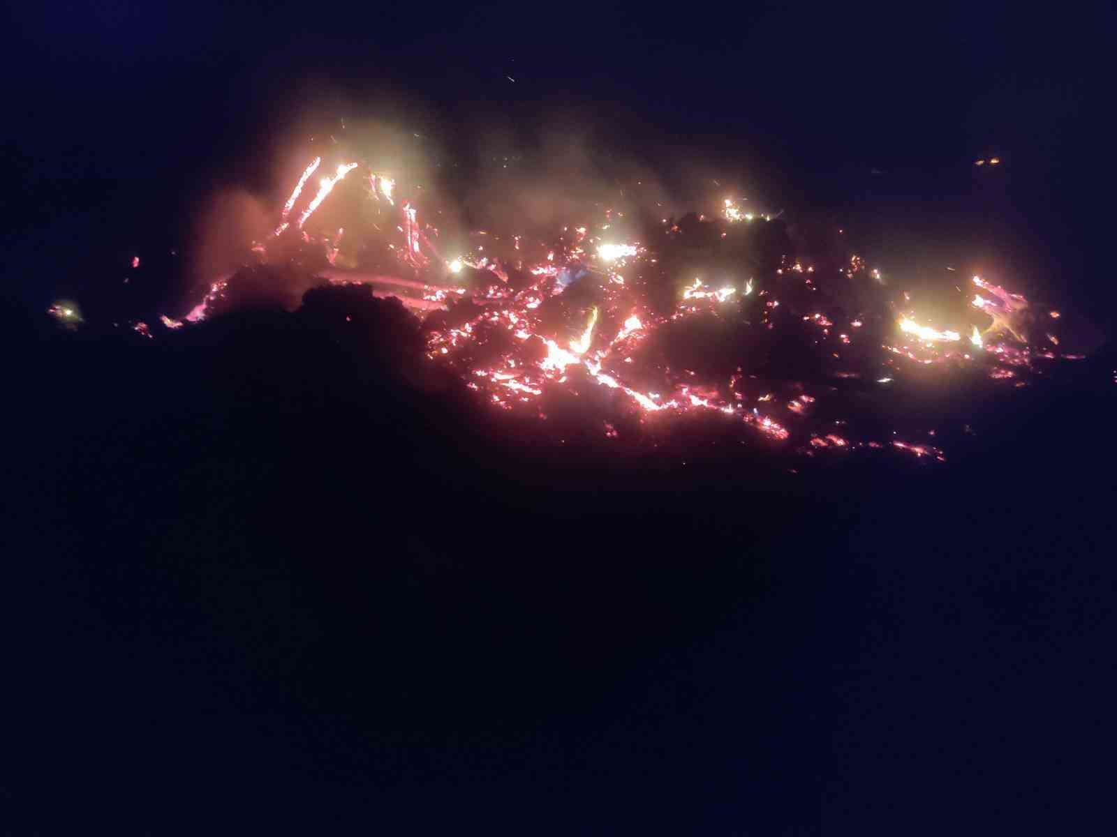 Bilecik’te çürümüş ağaç ve kökler yakılırken alevler kontrolden çıktı