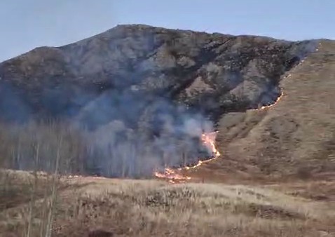 Oltu’da örtü yangını korkuttu