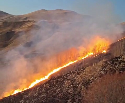 Oltu’da örtü yangını korkuttu
