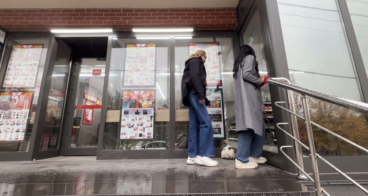 Sokak kedilerinin market mesaisi
