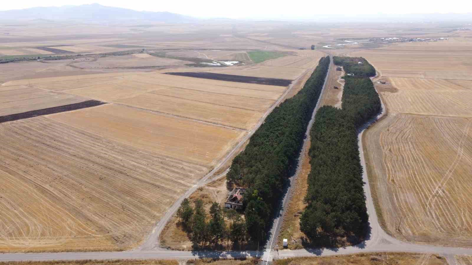 Kars’ta bozkırın ortasındaki vaha havadan görüntülendi