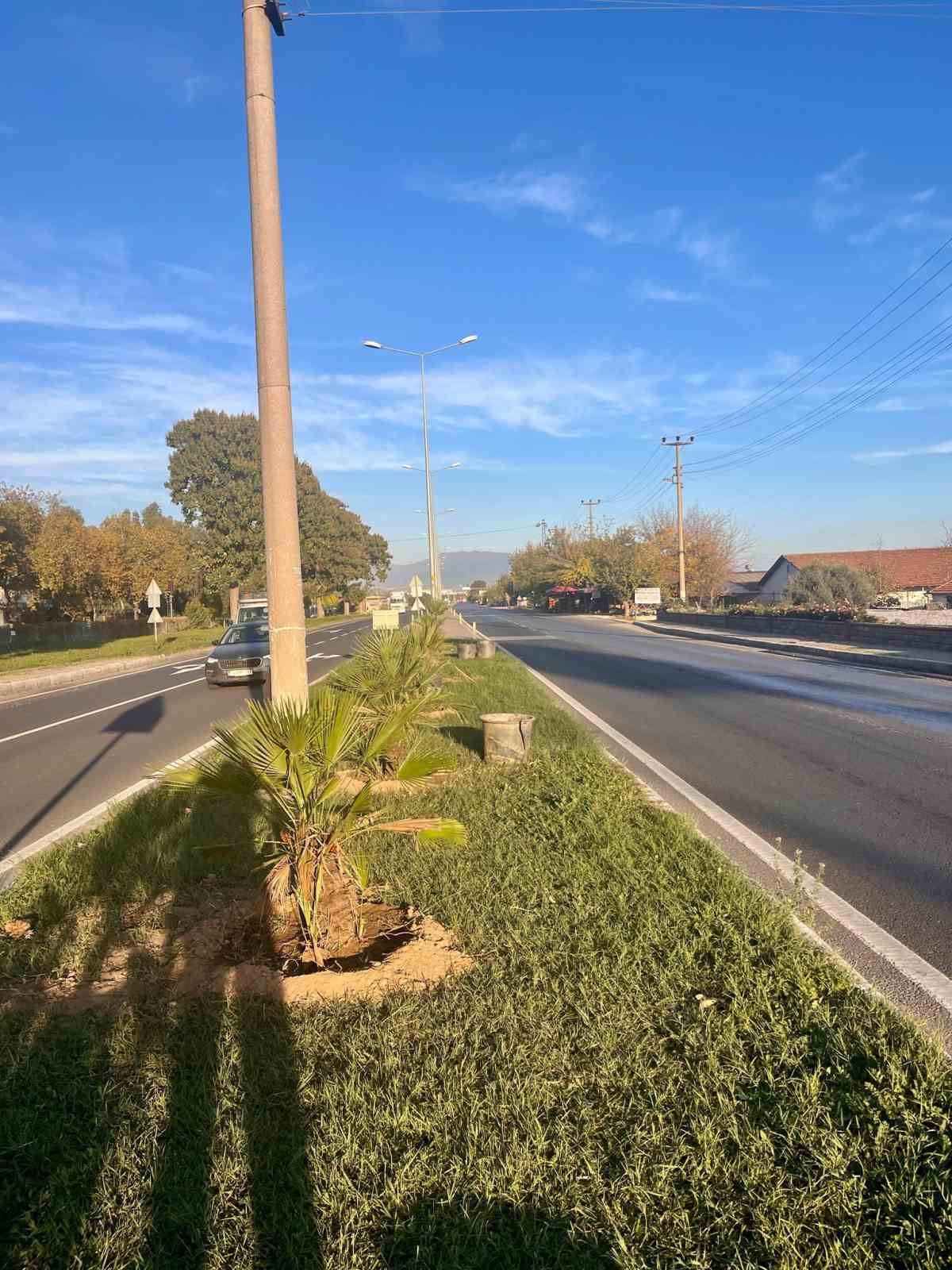 Yeşil Sultanhisar için ağaçlandırma çalışmaları sürüyor
