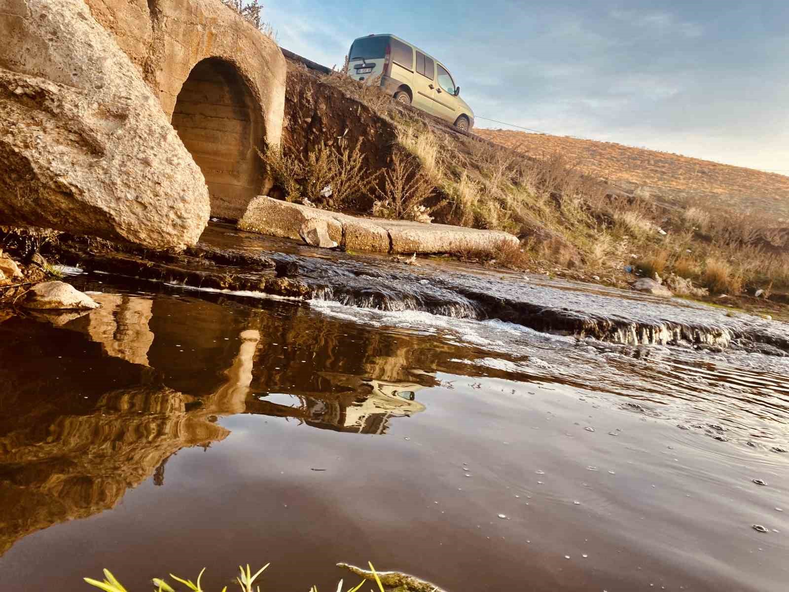 Sonbaharda sararan yapraklar görsel şölen oluşturdu