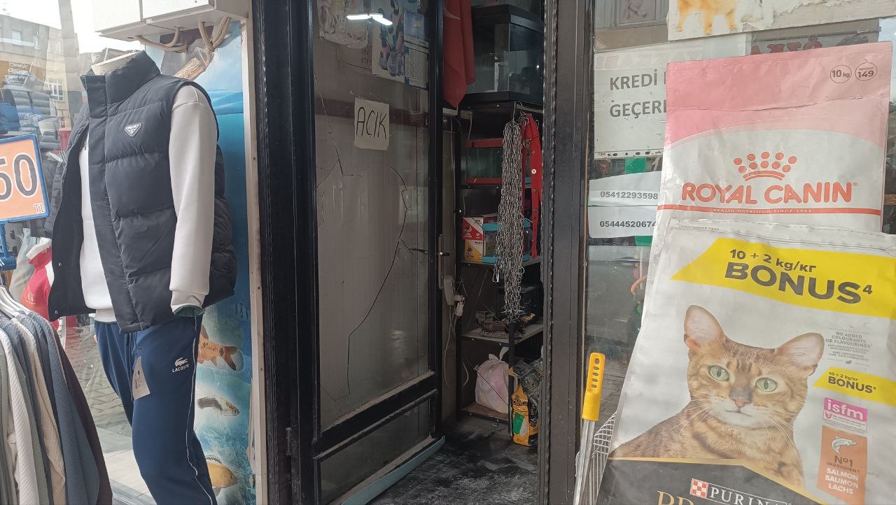 Camı kırıp 9 papağan çaldılar