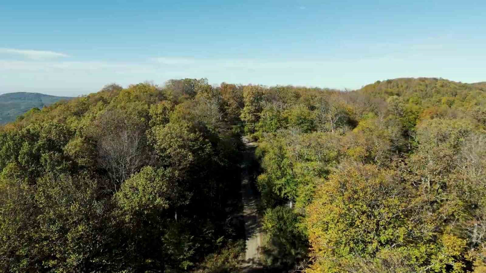 Biga’da sonbahar renklerine bürünen ormanlar havadan görüntülendi