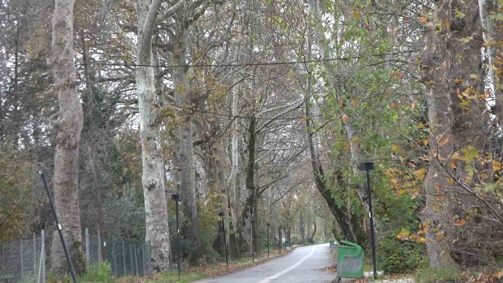 Su seviyesi düşen Gökçe Barajı’nda tarihi yolun kalıntıları gün yüzüne çıktı
