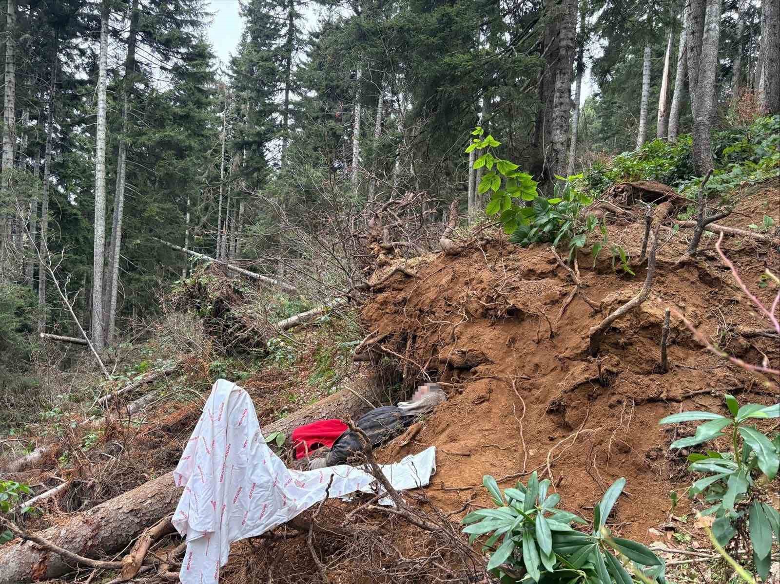 Kestiği ağacın altında kalan bir kişi hayatını kaybetti
