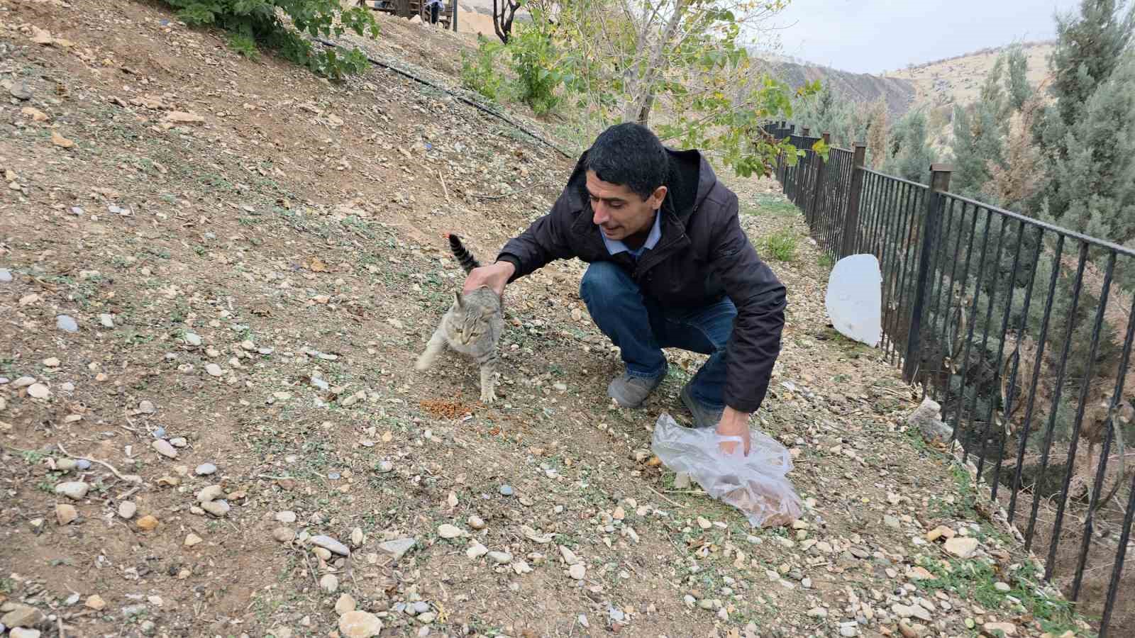 Siverek’te sahipsiz kedilere mama bırakıldı