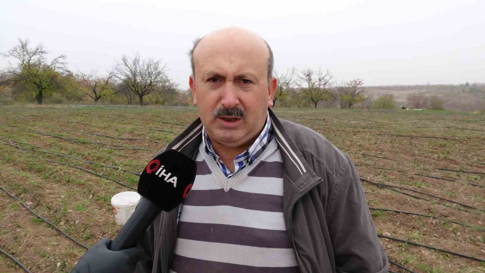 Malatya’da gramı 600 TL olan safran yok satıyor
