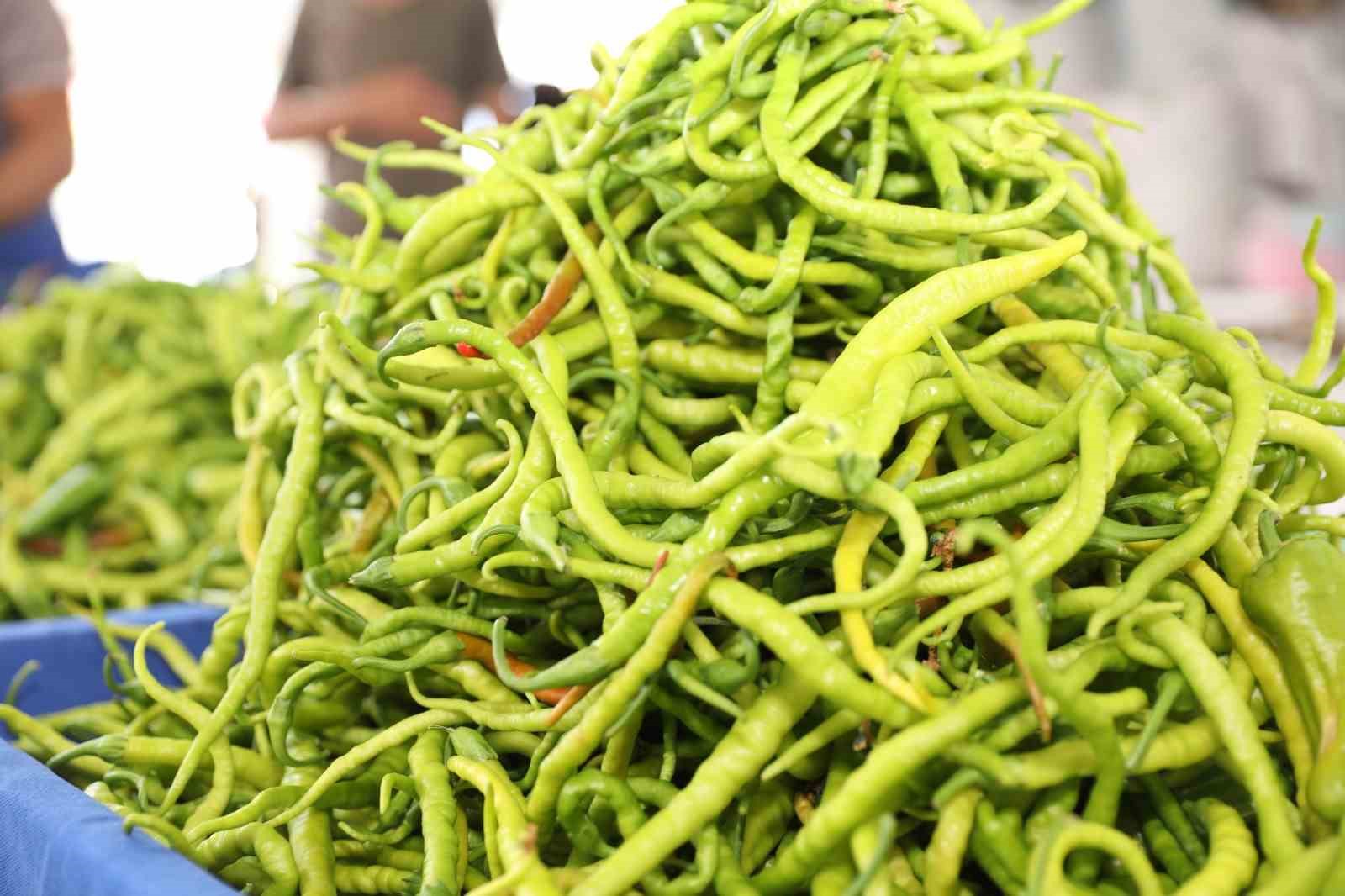 Başkan &Ccedil;olakbayrakdar: "Organik tarımı sevdirdik, Kayseri&rsquo;mize yeni bir vizyon kazandırdık"
