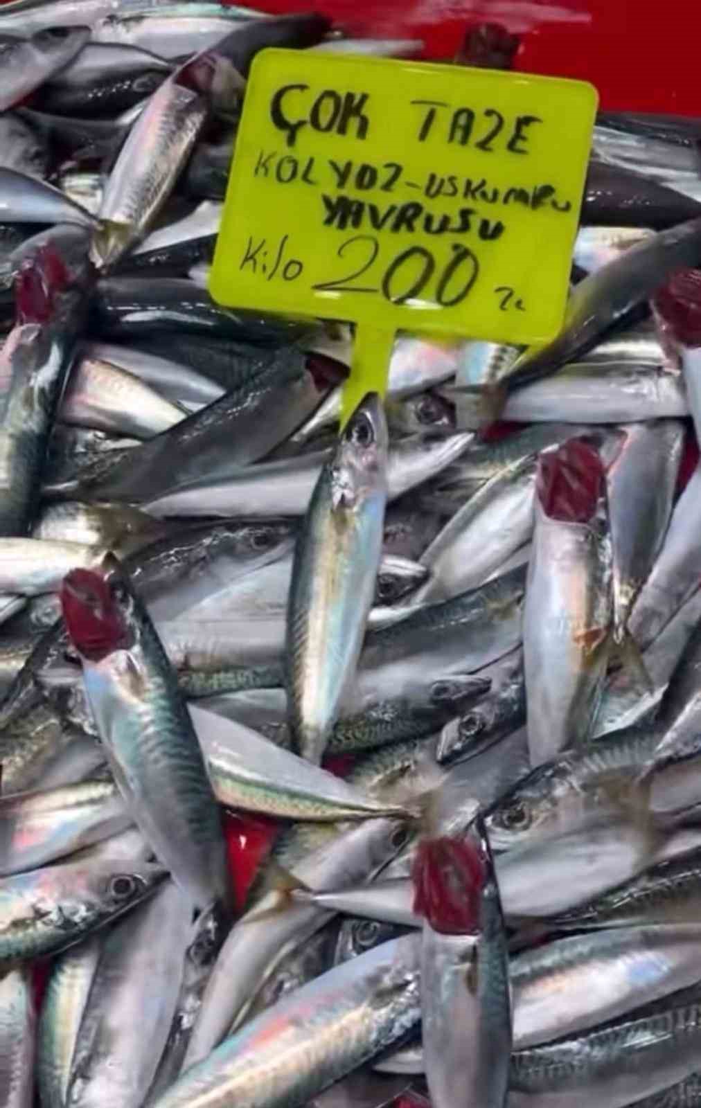 Denetim geldi, gerçek ortaya çıktı: Tezgahtaki balık "kolyoz" çıktı