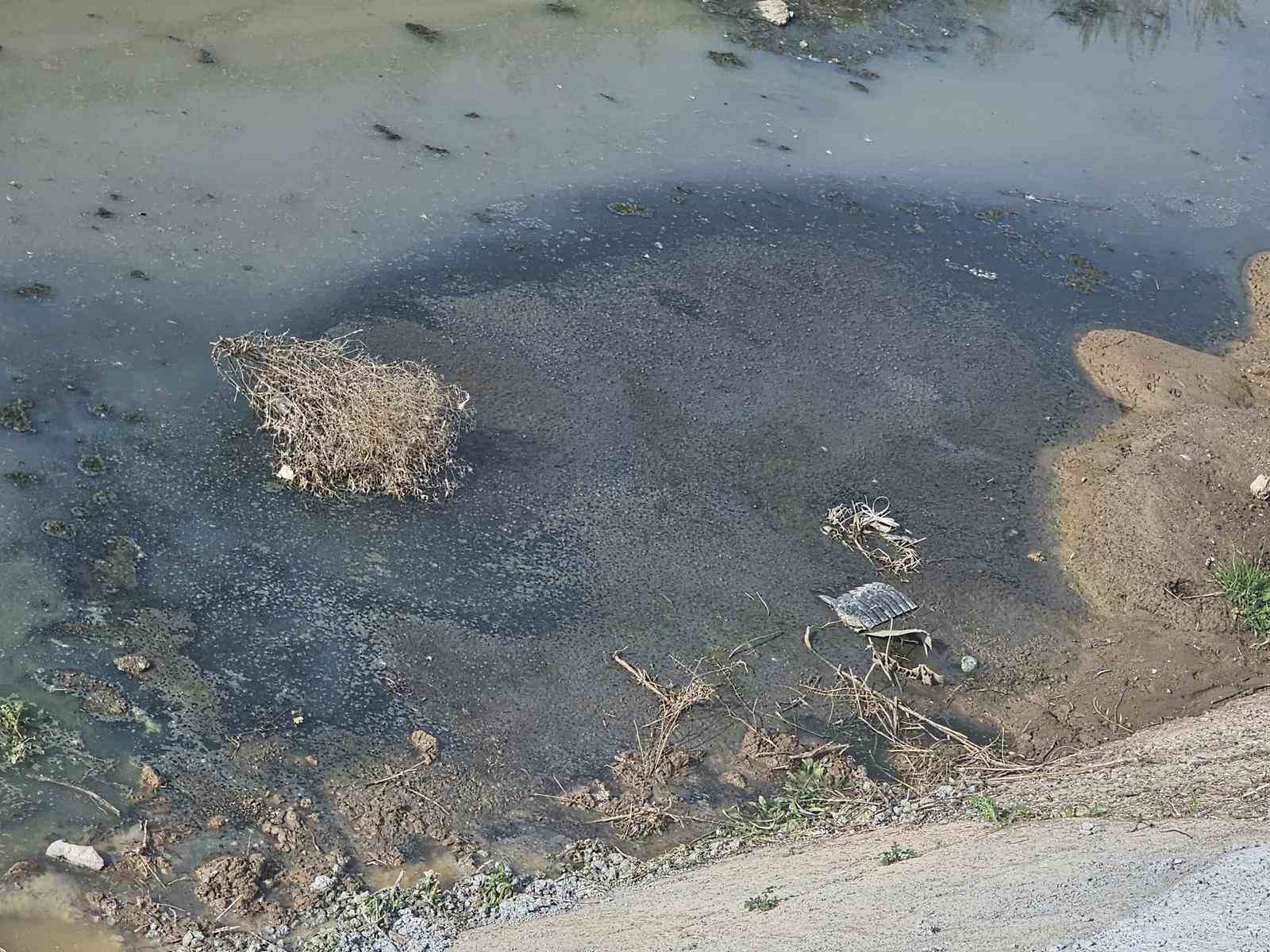 &Ccedil;evreyi kirleten işletme hakkında yasal işlem başlatıldı
