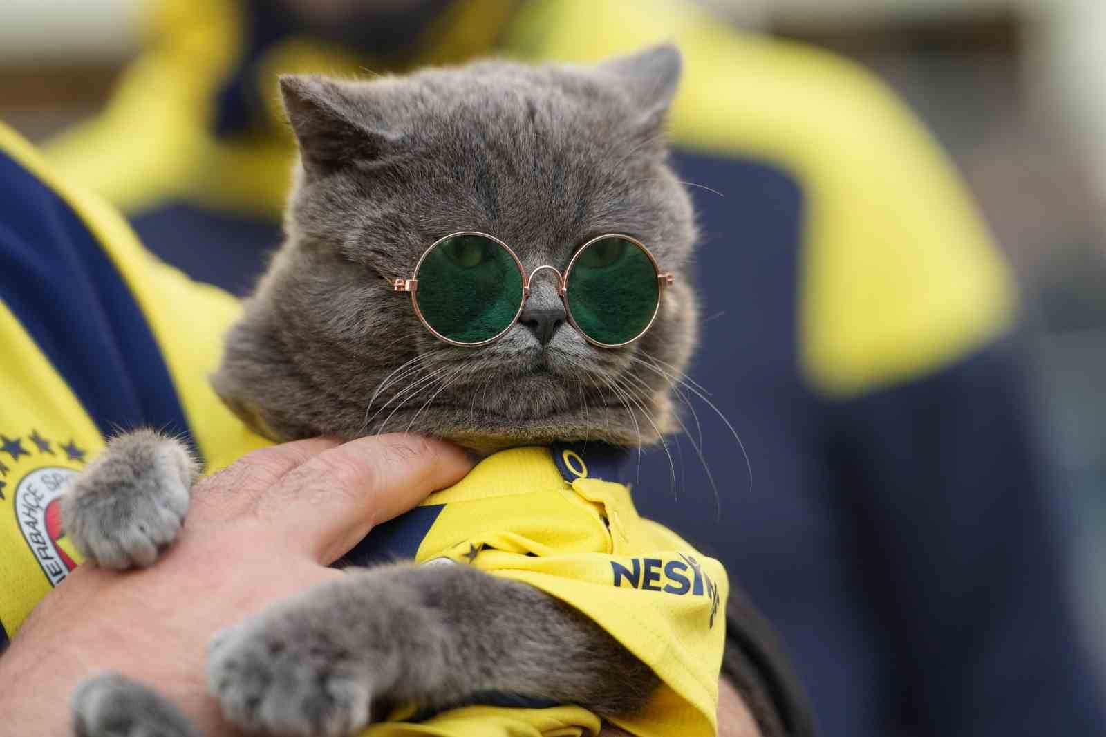 Galatasaray taraftarları derbi için stada geldi
