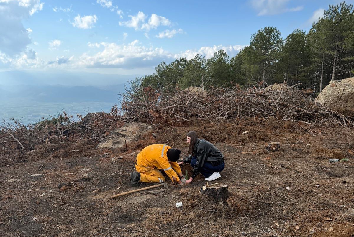 Kırşehir’den gelen üniversite öğrencileri Çine’de fidan dikti
