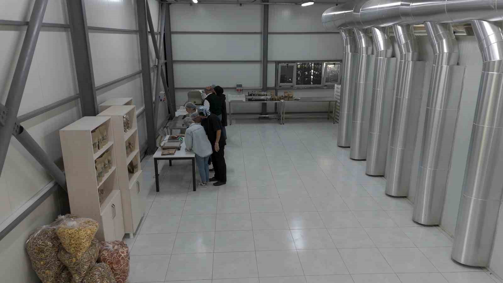 TOGÜ tarım ürünleri kurutma tesisi, sürdürülebilir üretime güç katıyor
