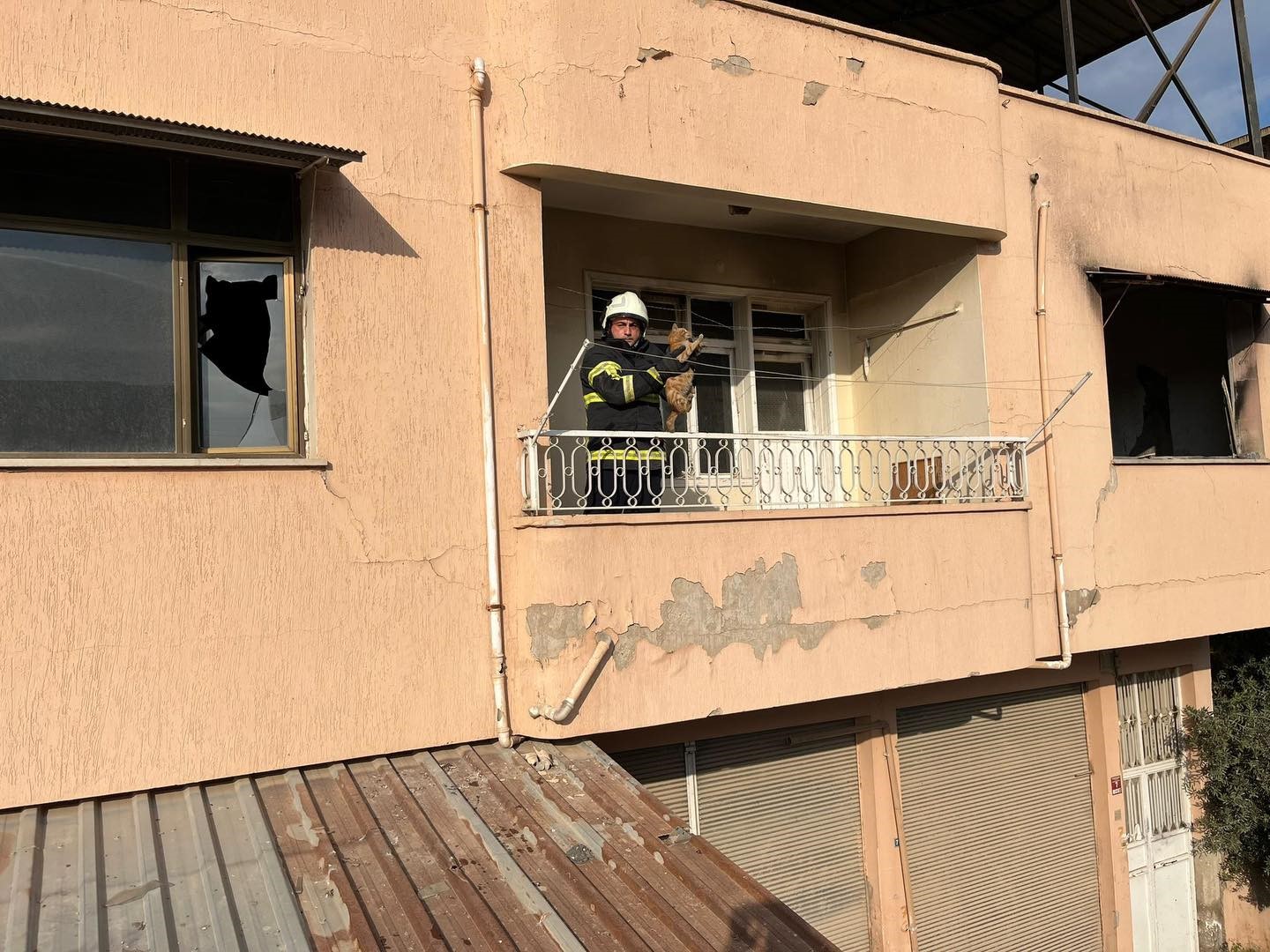 Kırıkhan&rsquo;da &ccedil;atıda mahsur kalan kediyi itfaiye kurtardı
