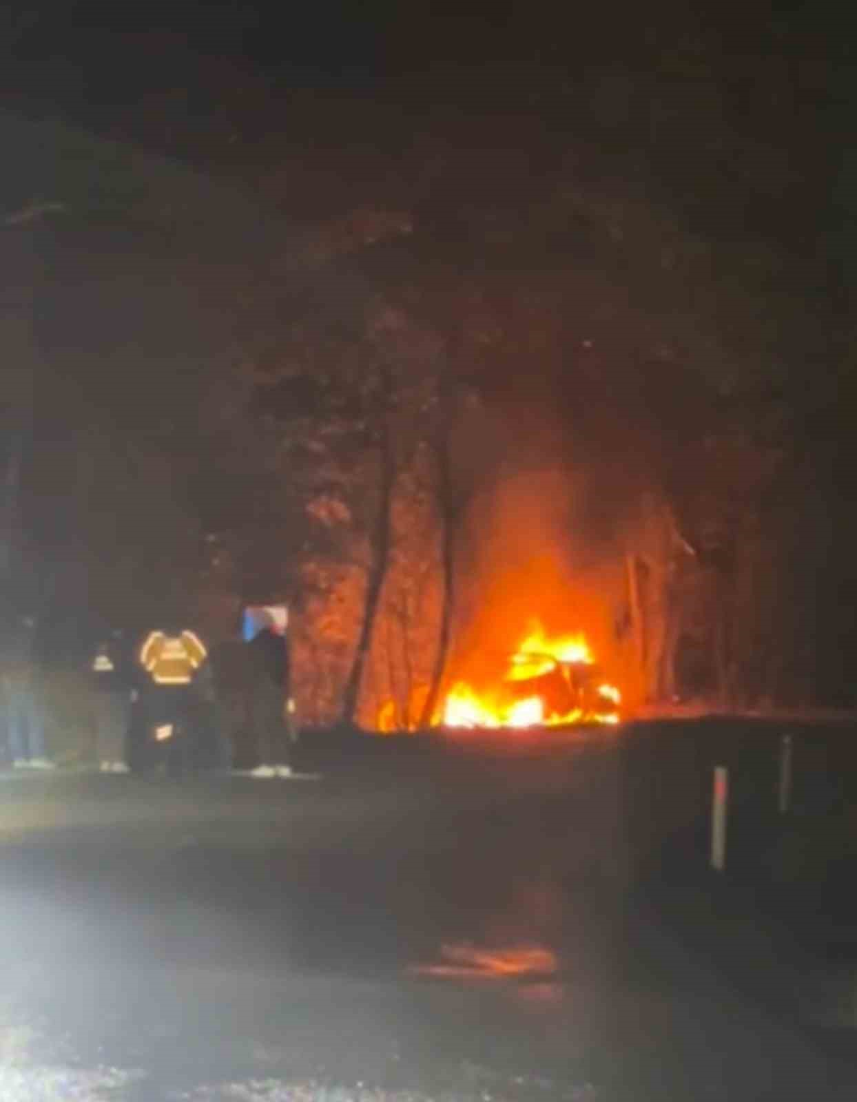 Ağaca çarpan araç alev alev yandı
