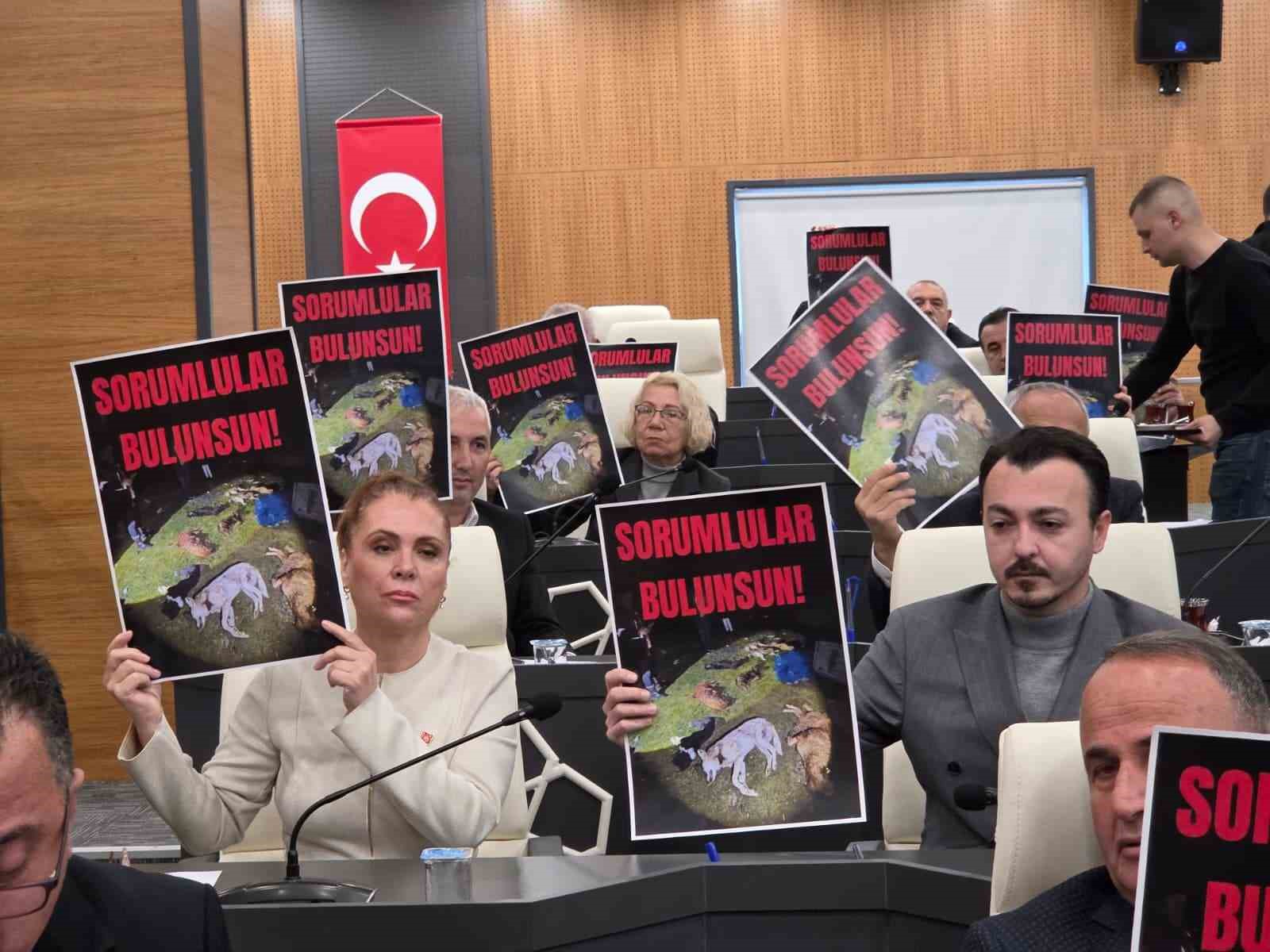 Başkan Kurnaz: "Maksat hayvan sevmek değil, siyaset yapmak"
