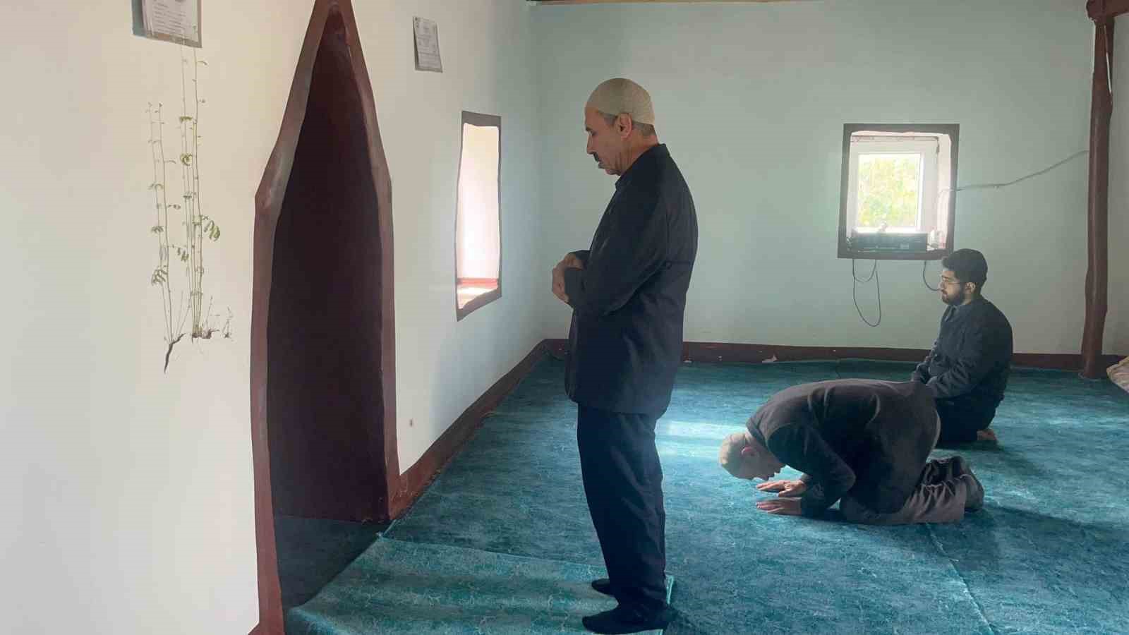 Diyarbakır’da bir caminin mihrap kısmındaki duvardan çıkan bitkinin yaprakları yeşerdi