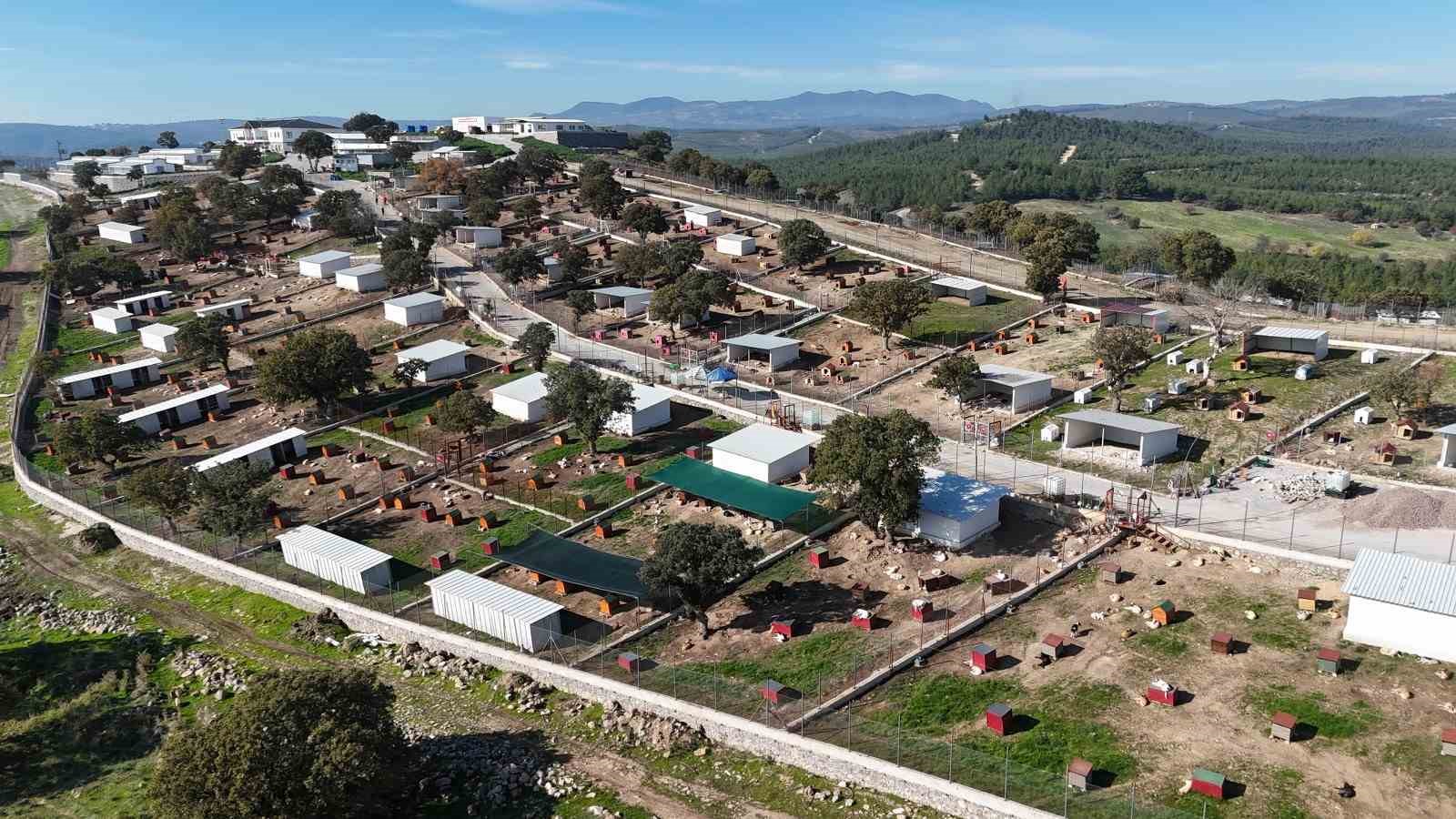 Yunusemre’de sokak hayvanları için örnek yaşam merkezi