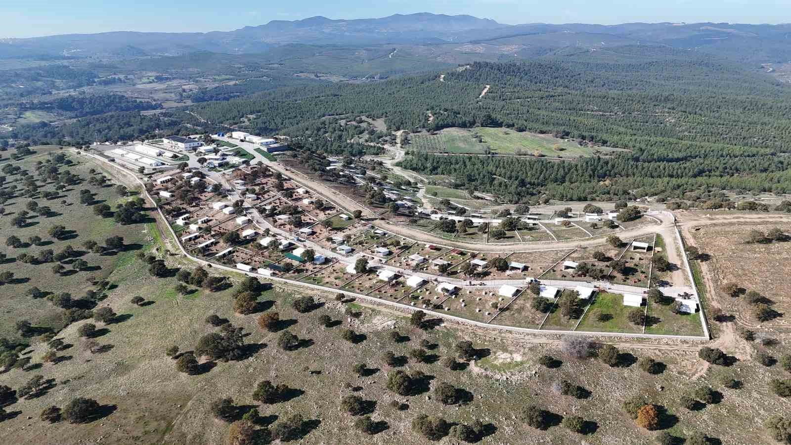 Yunusemre&rsquo;de sokak hayvanları i&ccedil;in &ouml;rnek yaşam merkezi

