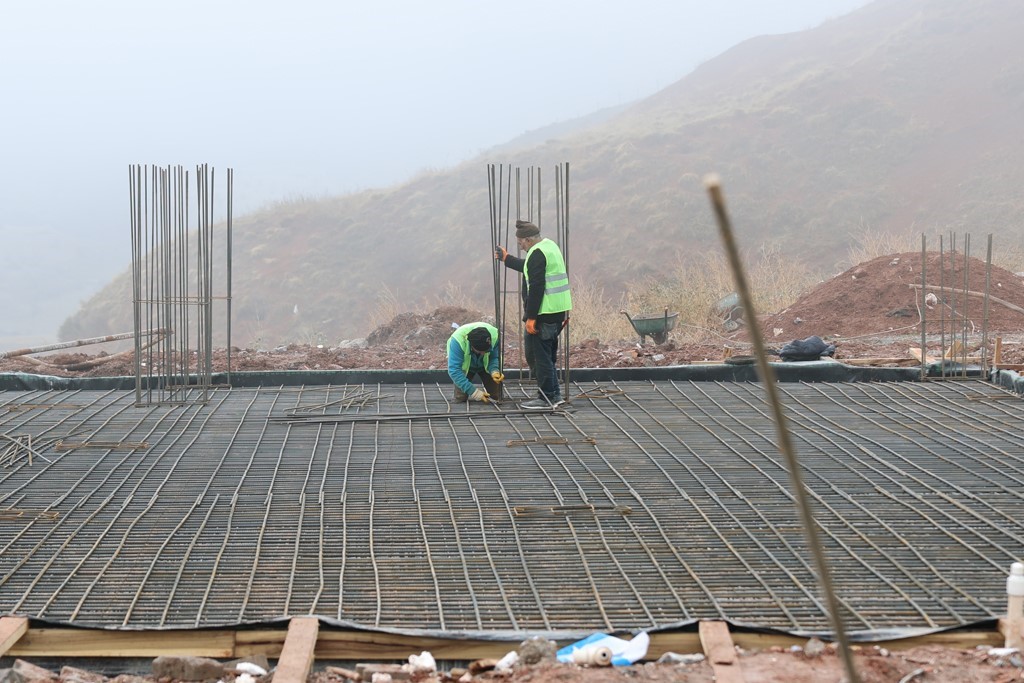 Sivas’ta sokak hayvanları için kapsamlı dönüşüm başladı