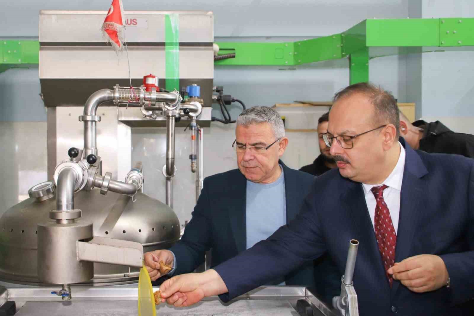 Vali Canbolat, Köşk’te zeytinyağı sıkım işletmelerinde incelemelerde bulundu