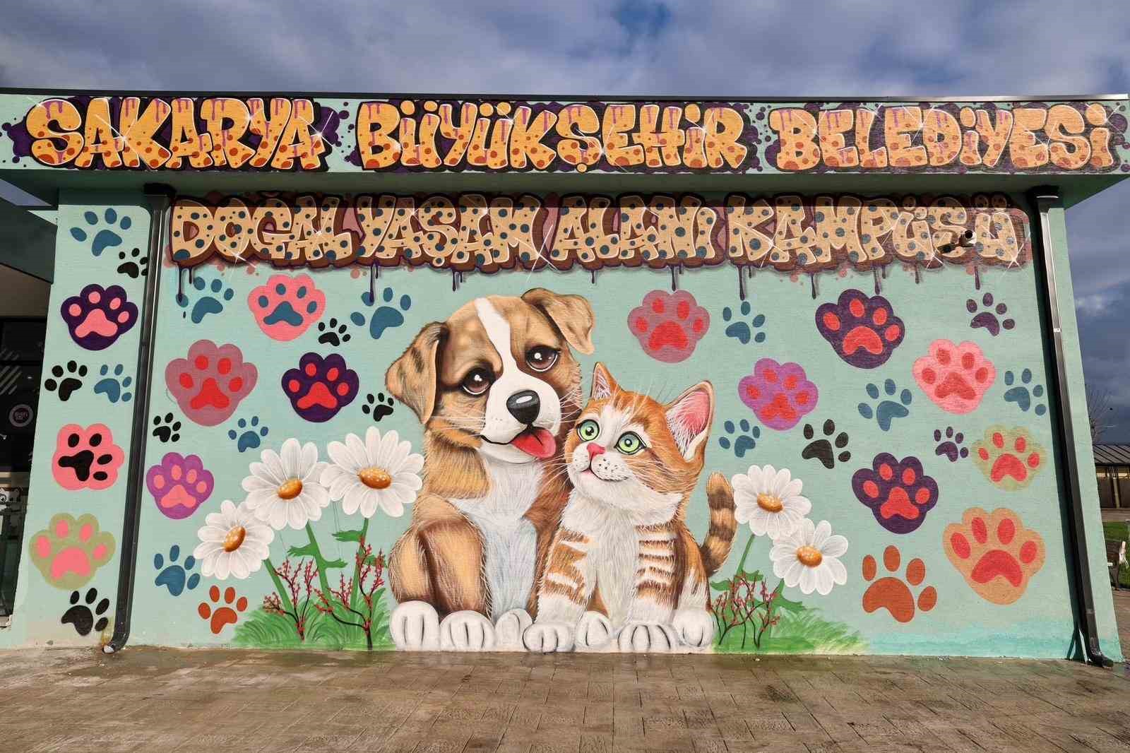 Avrupa standartlarında tesis: Sakarya Büyükşehir, sokak hayvanları için yeni bir dünya kurdu