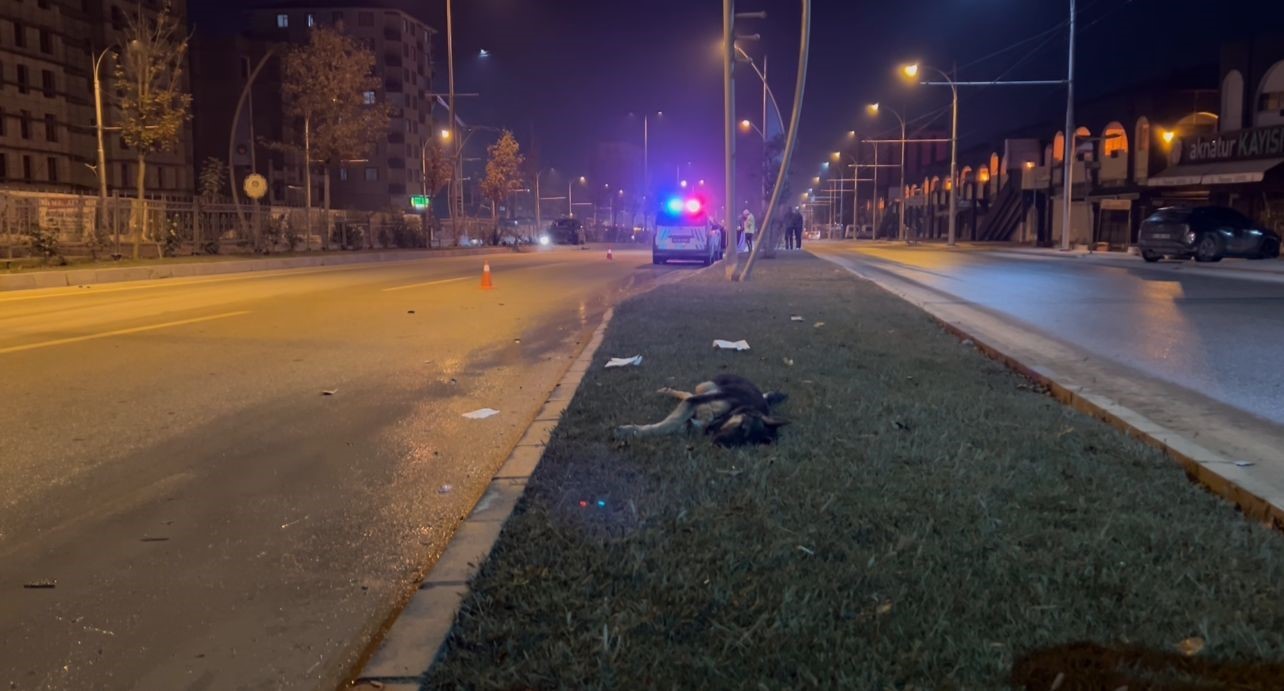 Köpeğe çarpmamak için manevra yapan sürücü refüje çıktı
