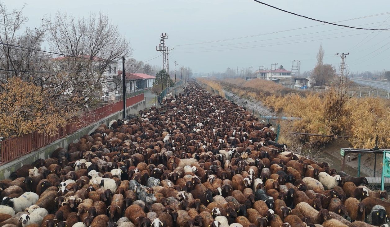 Iğdırlı göçerler, zorlu yolculuğun ardından Iğdır’a ulaştı
