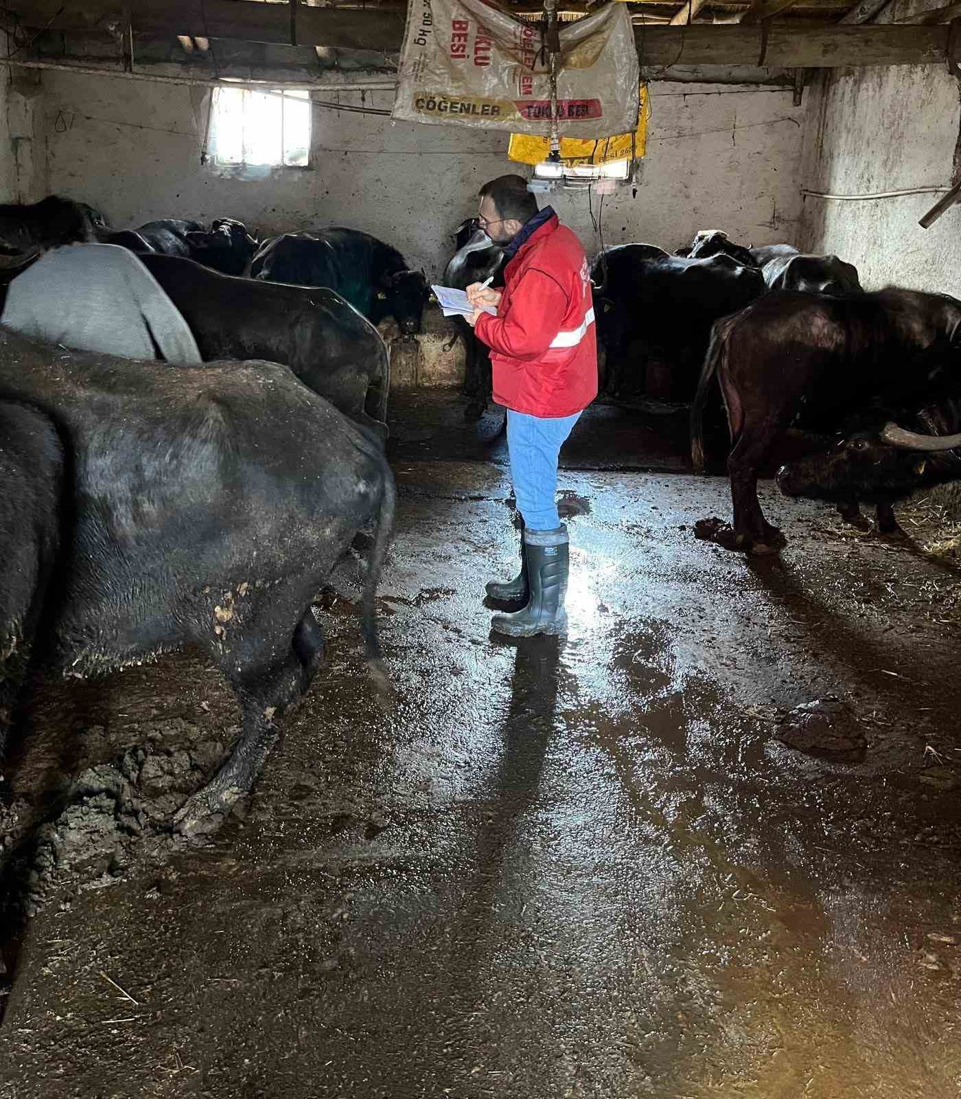 ’Halk Elinde Anadolu Mandasının Islahı Projesi’ devam ediyor