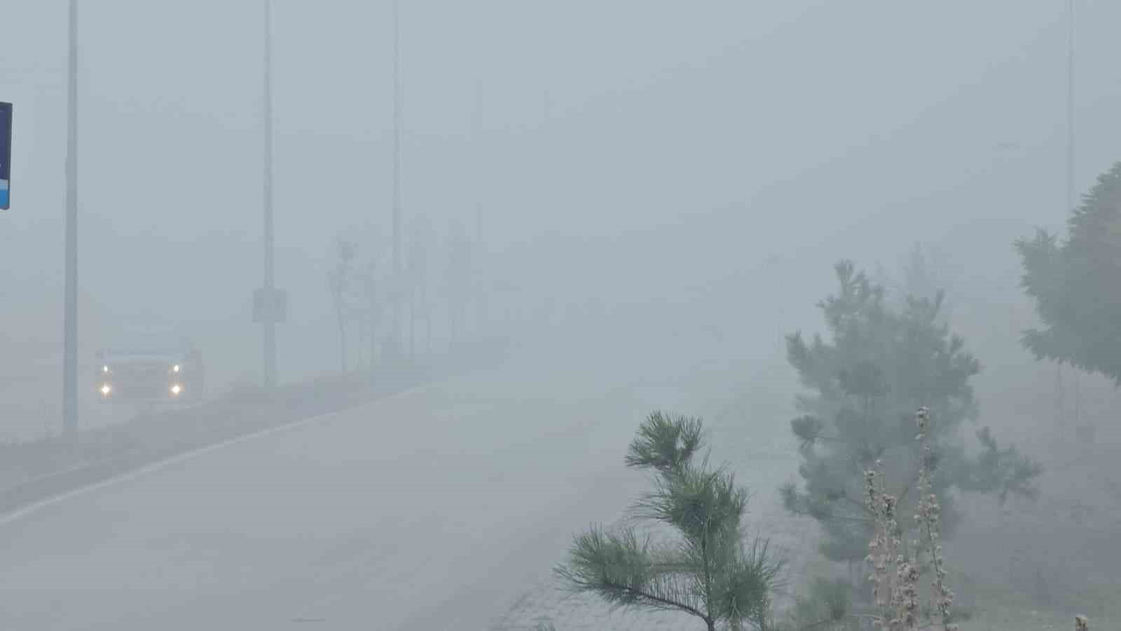Elazığ’da yoğun sis, bir mahalle adeta kayboldu