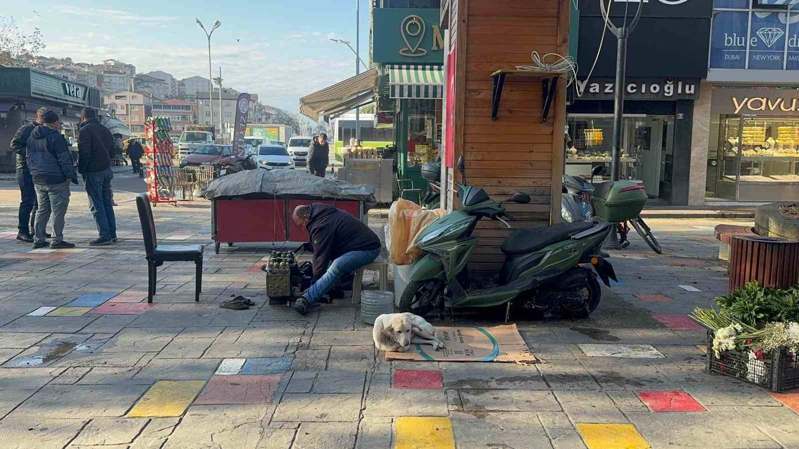 Hayata tutunan engelli köpeğe bebek gibi bakıyor