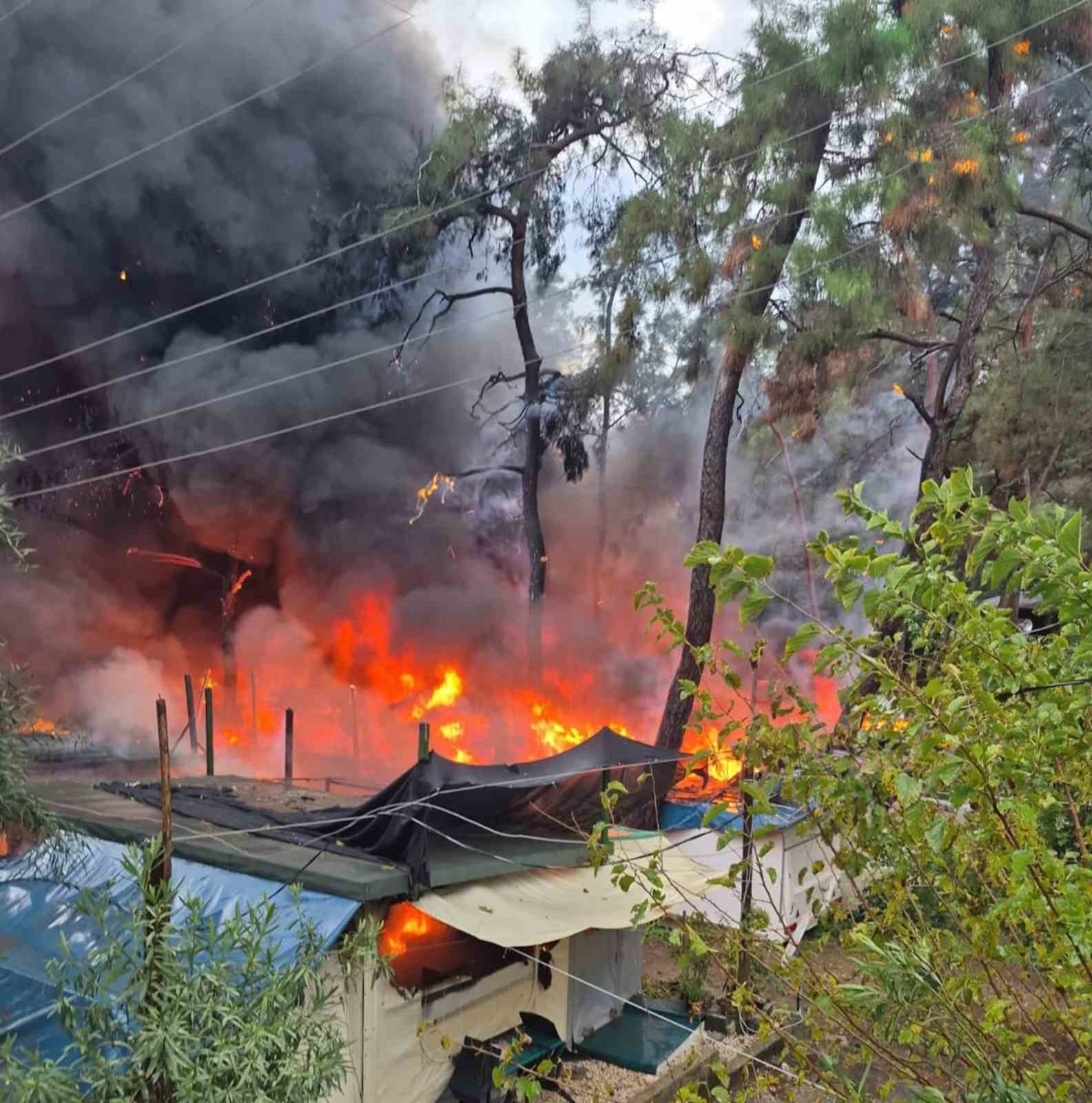 Fethiye&rsquo;de karavanda &ccedil;ıkan yangın ormana sı&ccedil;radı
