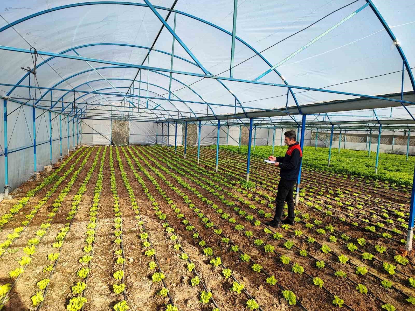 Babaeski&rsquo;de sera ve sarımsak &uuml;retim alanlarında &uuml;retim şartları kontrol edildi
