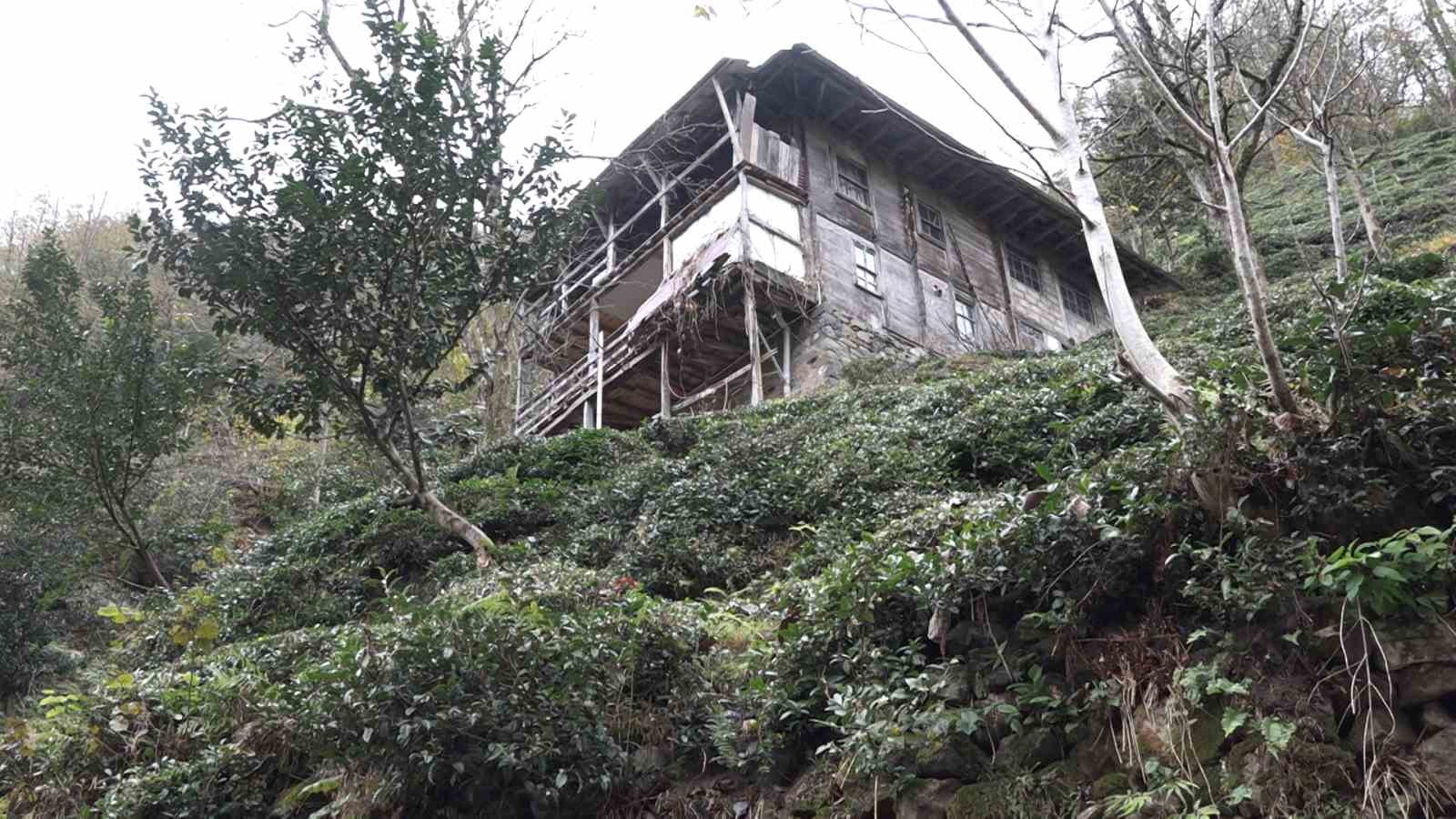 Tırmandığı balkonda kovanlardaki balı yiyen ayı kameralara yakalandı
