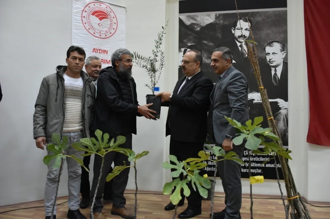 Aydın’da üreticilere 74 bin 90 fide dağıtılacak
