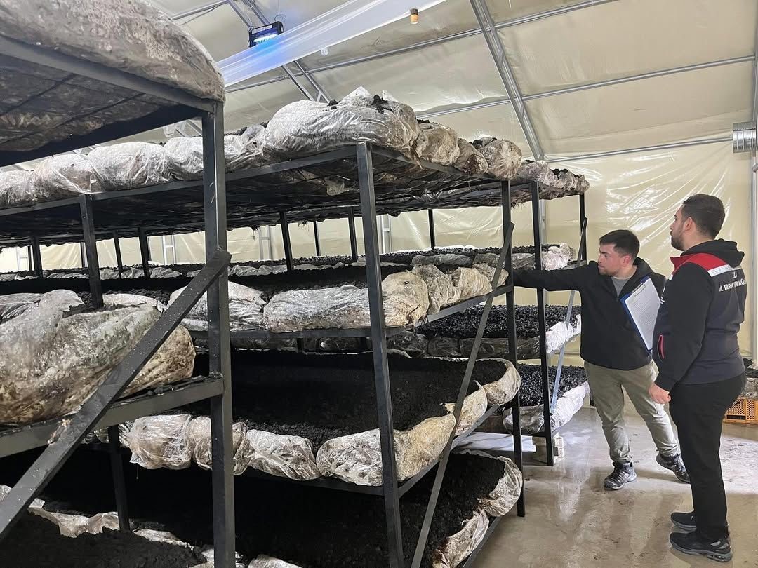 İlçenin ekonomisine yeni soluk
