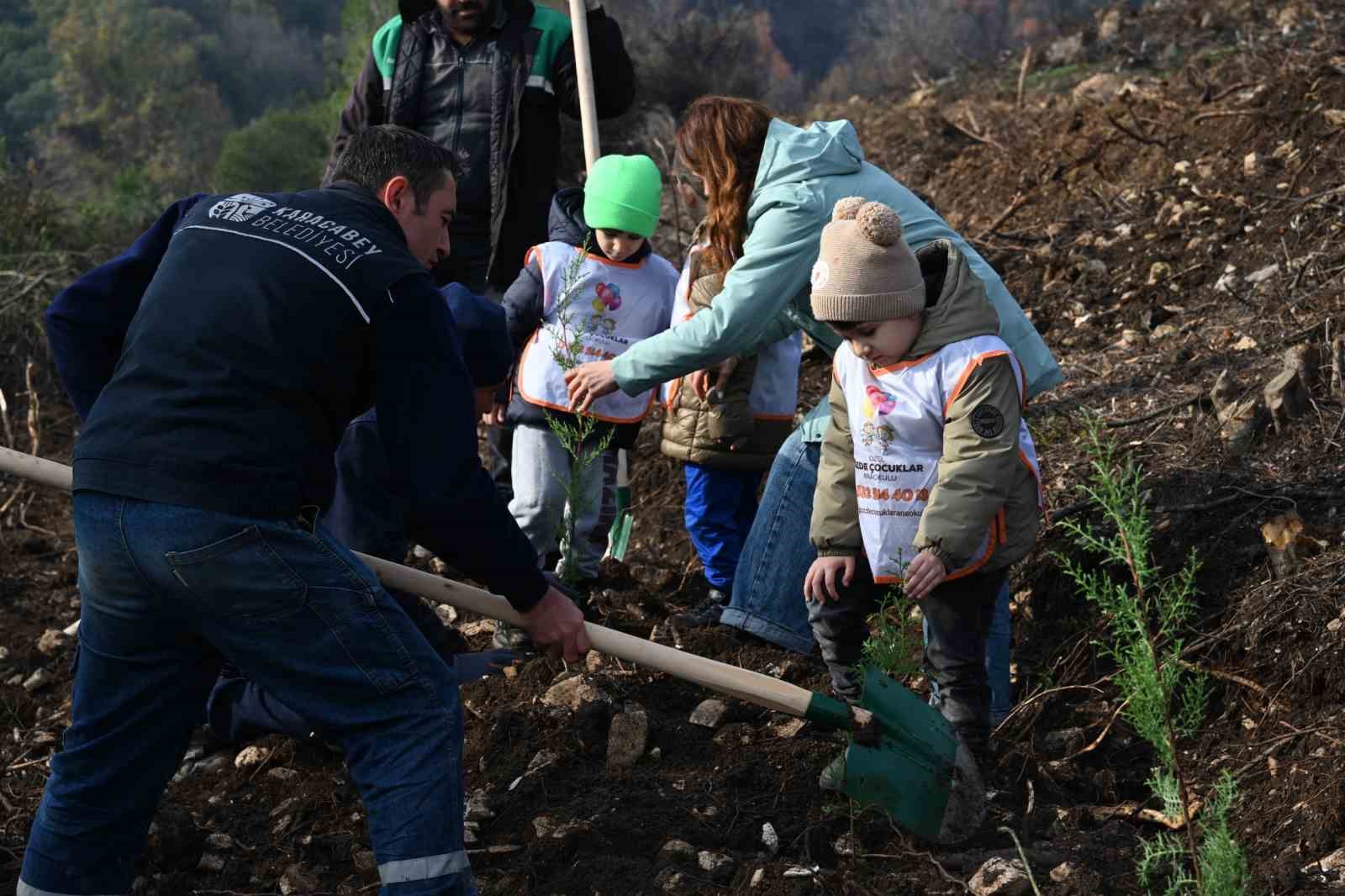 Karacabey’de yangın sonrası ilk fidanlar toprakla buluştu