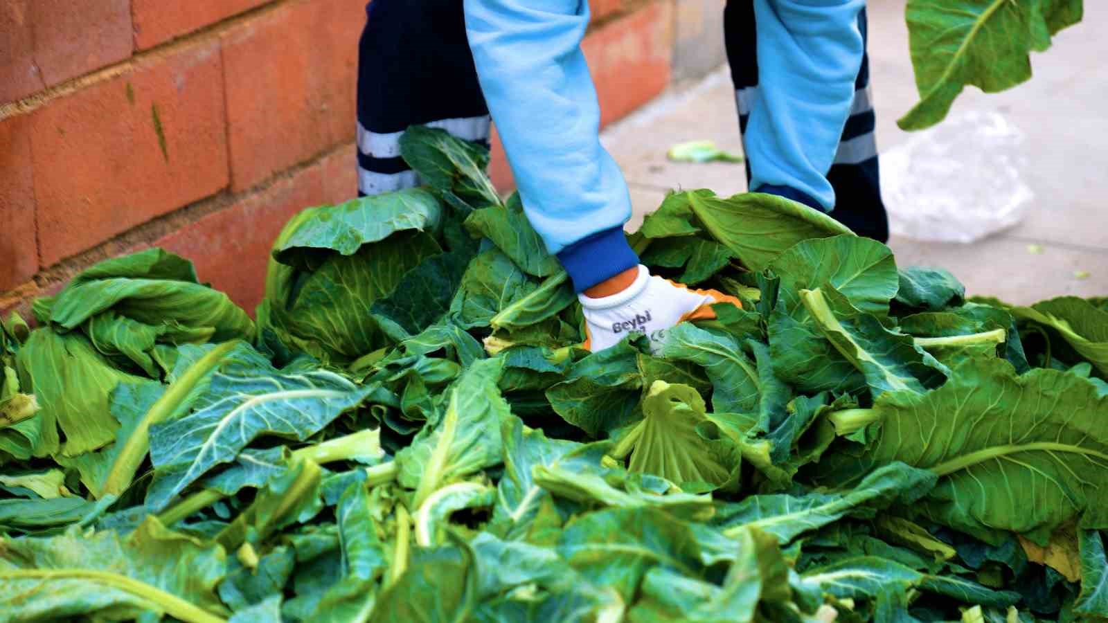 Didim Belediyesi pazar atıklarını komposta dönüştürüyor
