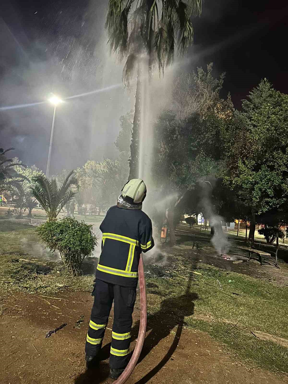 Mardin’de 15 yıllık palmiye ağacını ateşe verdiler

