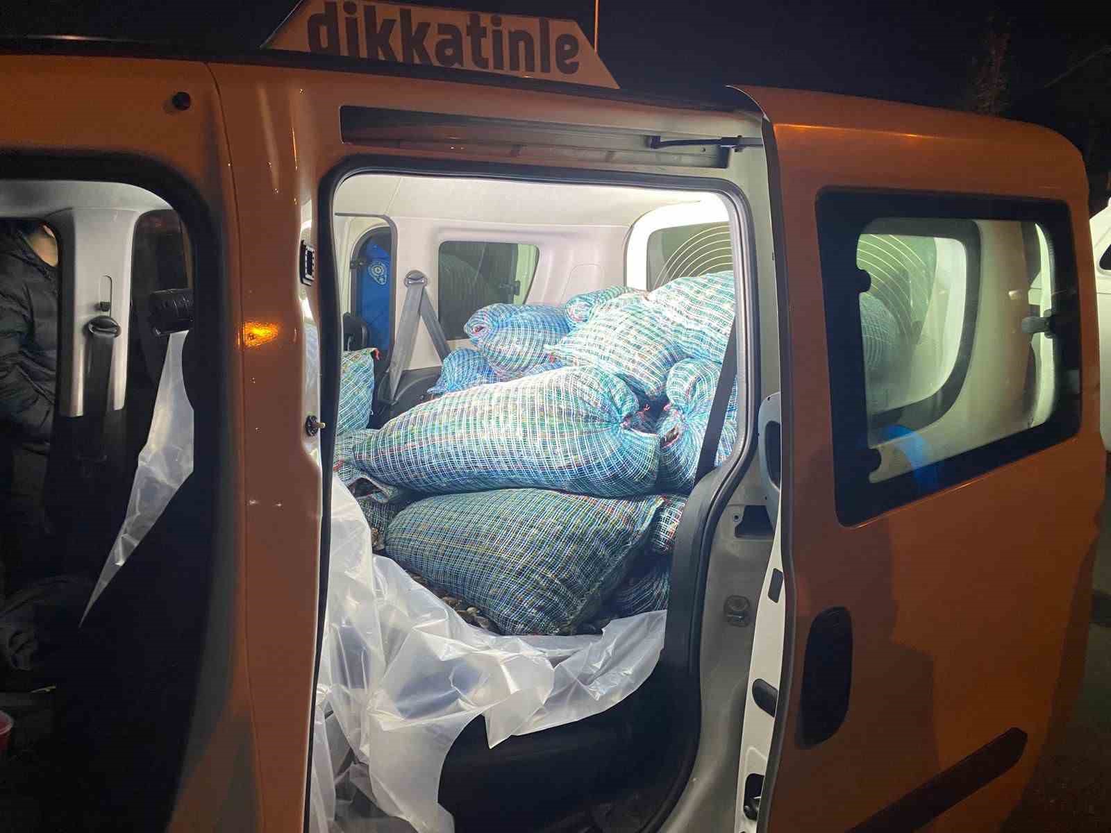 Samsun’da 300 kilo kaçak midye ele geçirildi