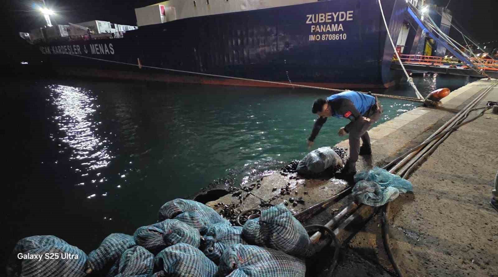 Samsun’da 300 kilo kaçak midye ele geçirildi
