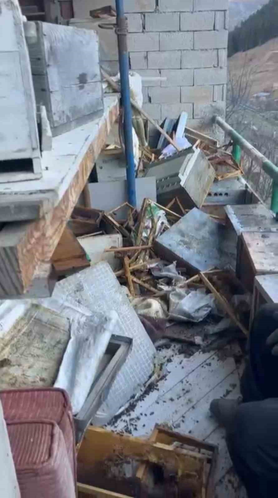 Rize’de ayı 30 Anzer balı peteğini telef etti, Anzer balı üreticisi yaşadığı soruna isyan etti
