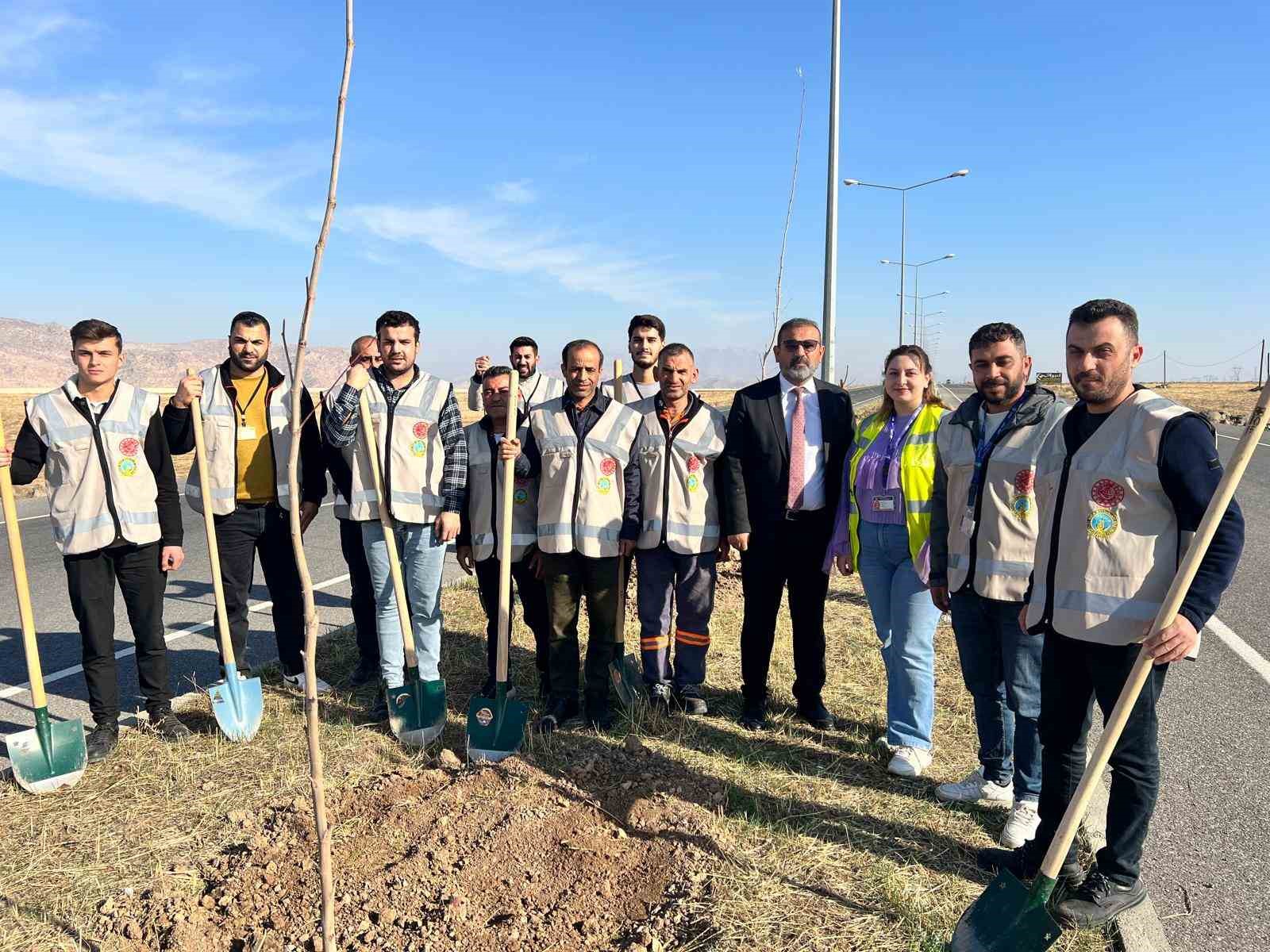 Cizre’de havalimanı yolu 450 fidan ile yeşilleniyor

